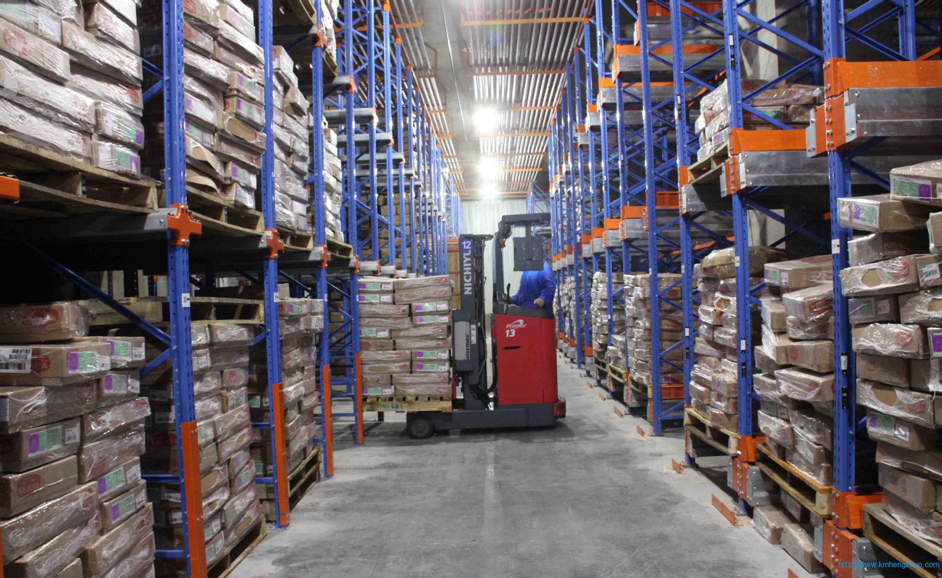 HZ-798型通廊式貨架 通廊式倉庫貨架應(yīng)用案例