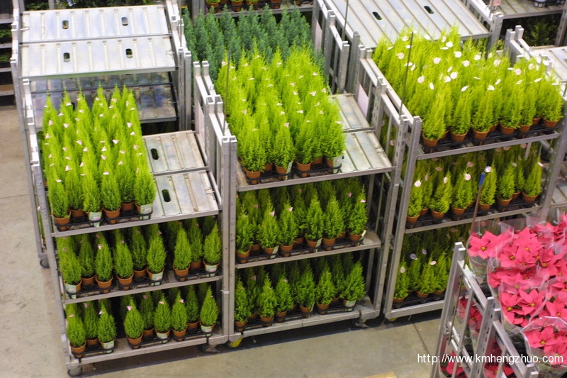 HZ-558型花車貨架